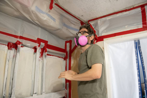 Best Attic Mold Removal  in Kings Beach, CA